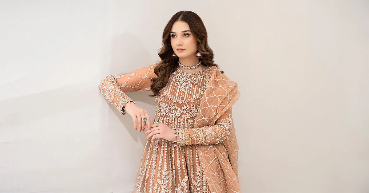 3 Piece Embroidered Net Suit | BDS-2804