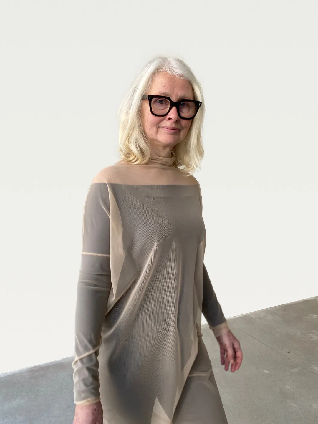 Mesh Overlay in Fawn