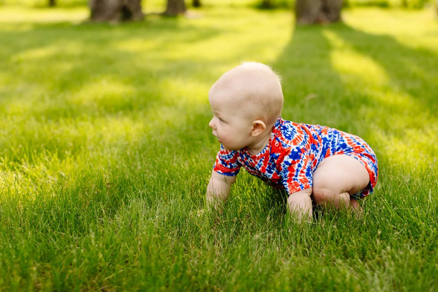 Red, White, and Blueberry Bummie Shorts
